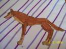 Aleu