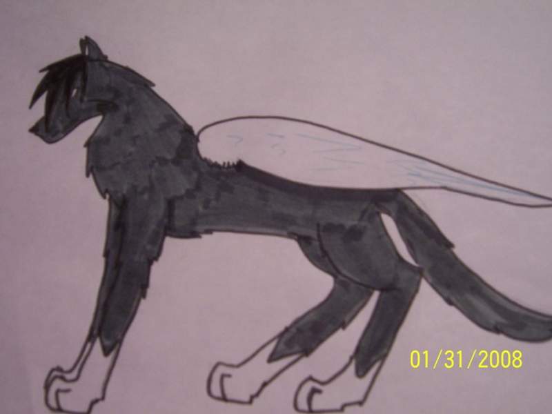 Winged Wolf