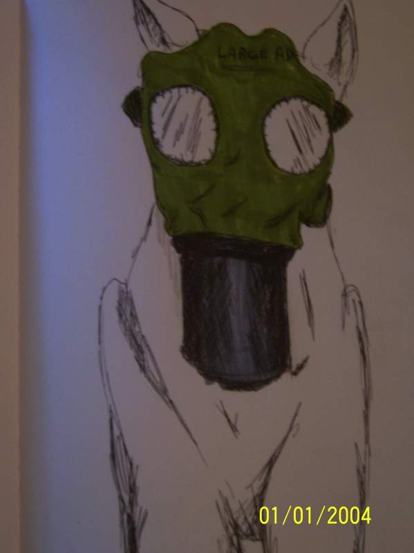 Mr. Gasman