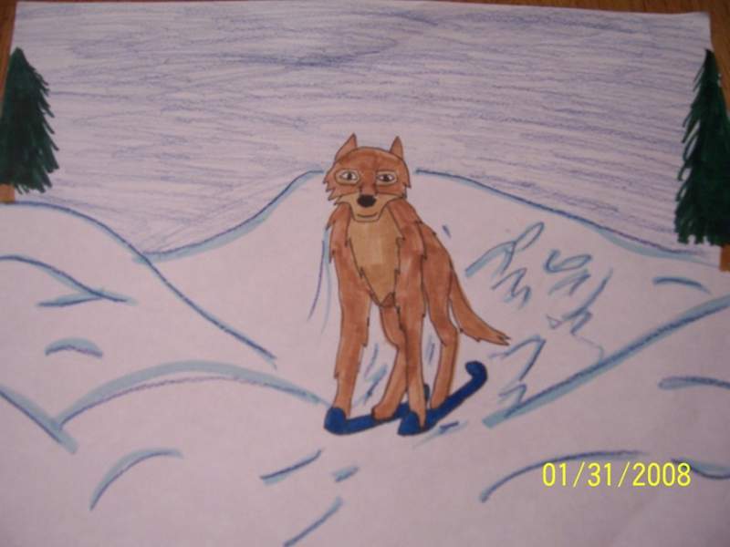 Skis