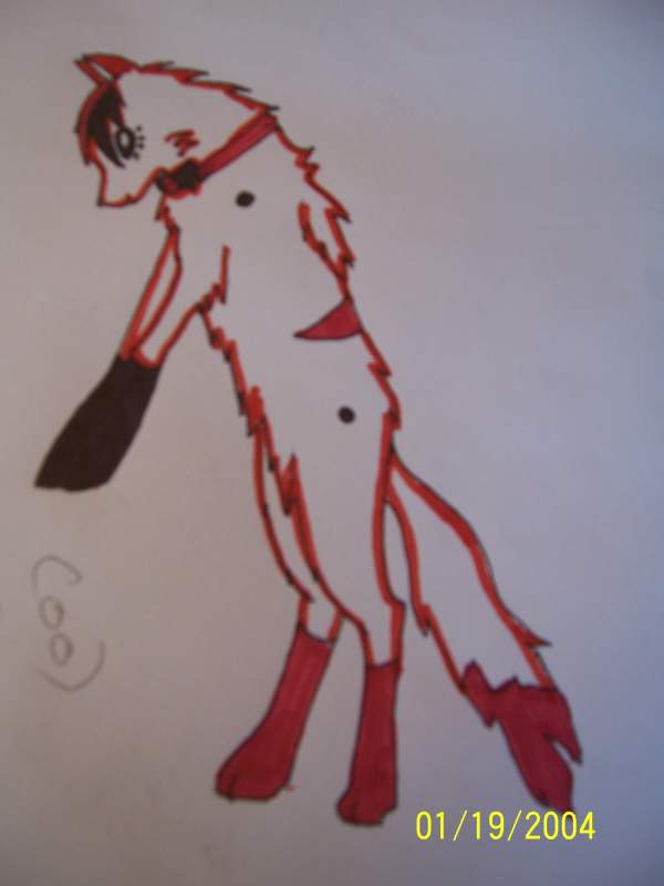 char for shayne