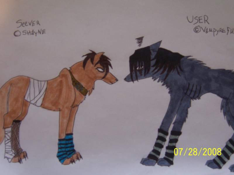 User and his mate, Seever