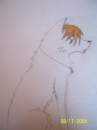 Bamloo