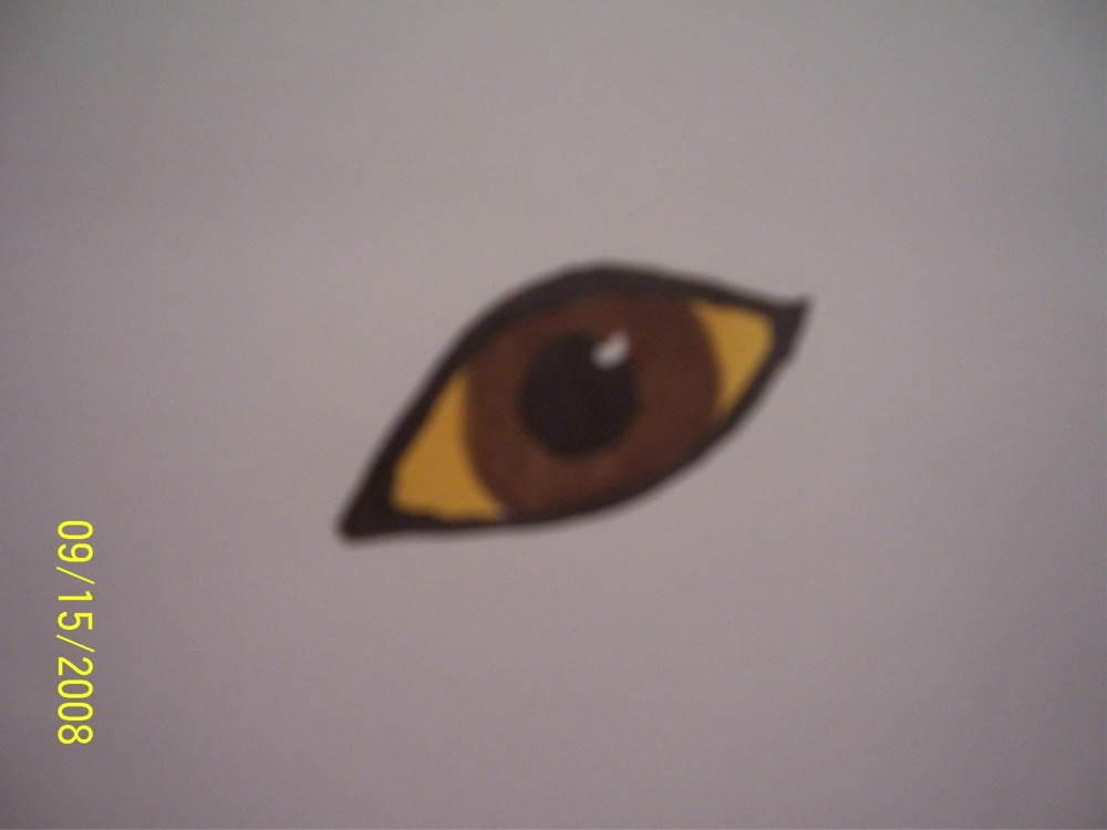 Balto's detailed eye LOL