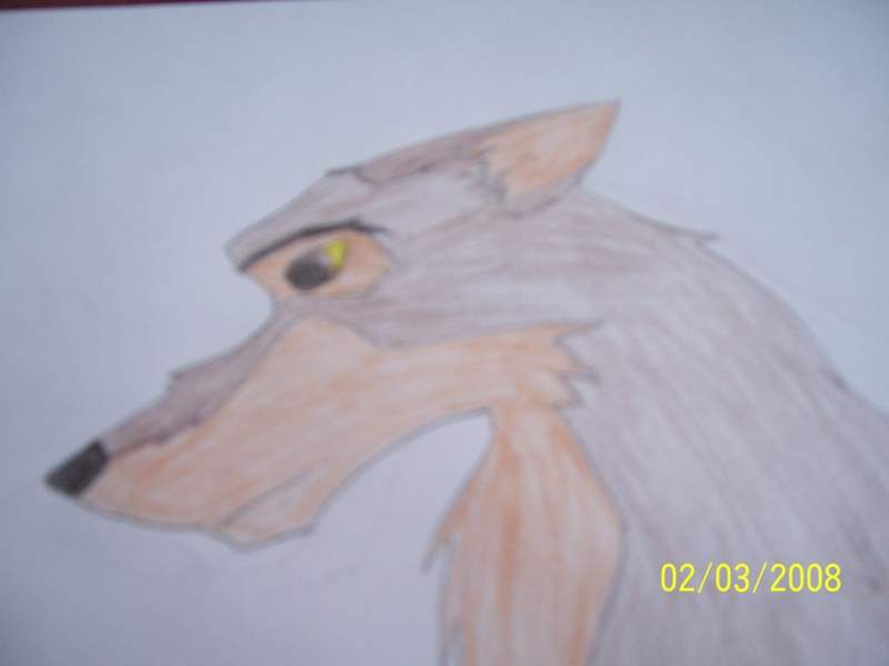 Balto