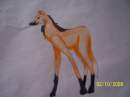 Maned Wolf