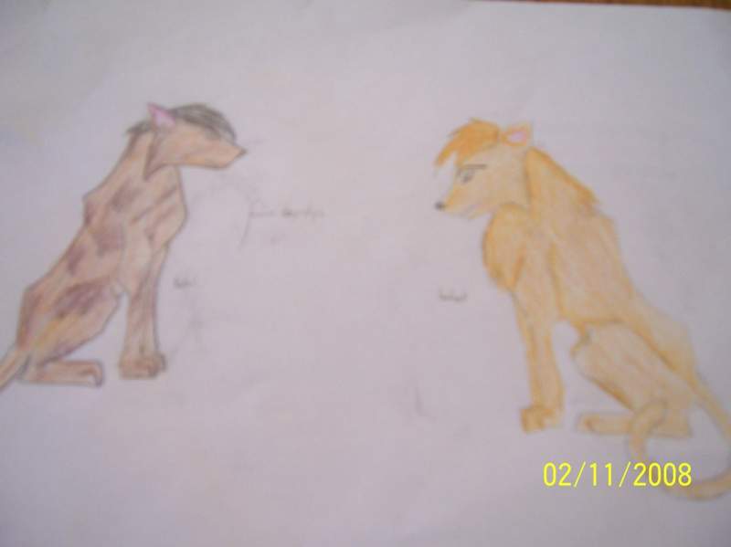My twin drew this