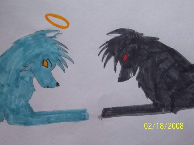 Evil/Angel