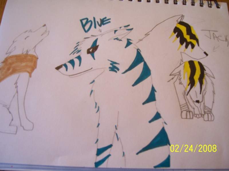 Random sketches
