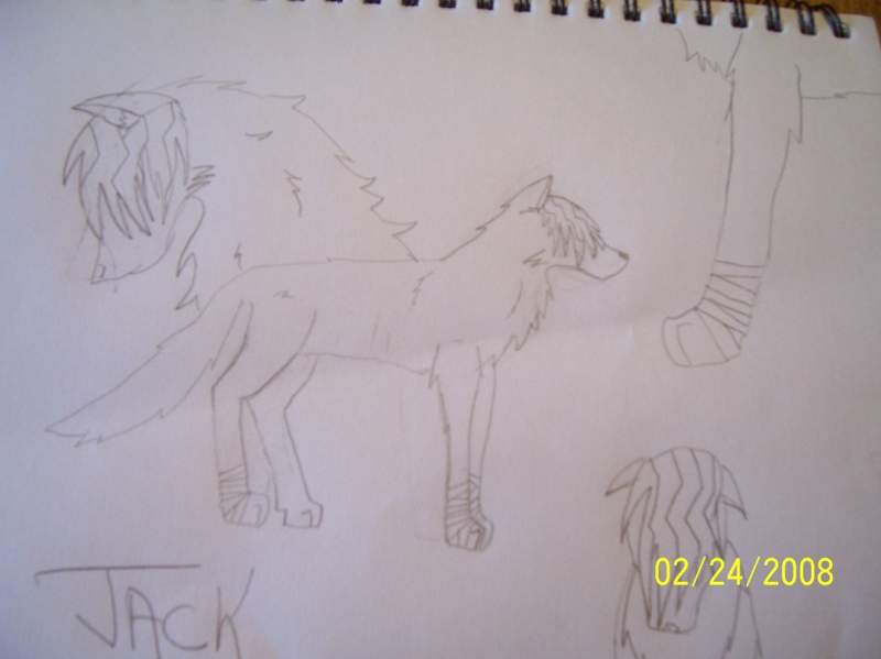 More sketches of jack