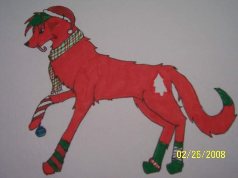 I know it is not Christmas but....