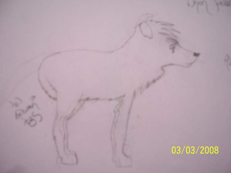 A friend drew this for me...