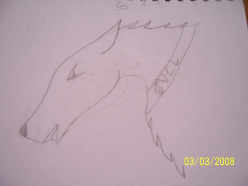 Another Freind drew this for me...