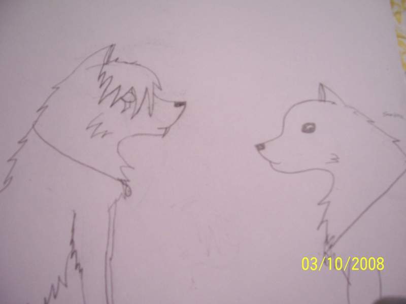 My new chars they are twins