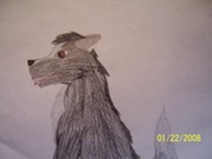 Storm's son