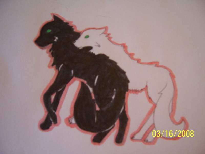 Azeri (white) and Baku (black)