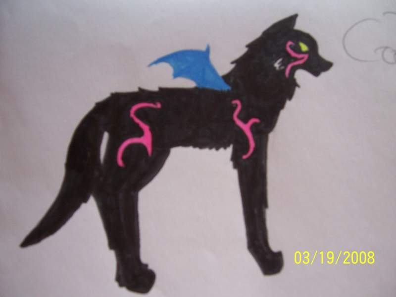 Amy