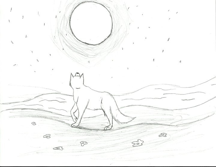Fast sketch