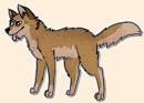Pup