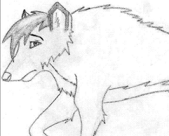 A Wolf..