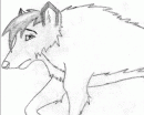 A Wolf..