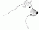 A Fox