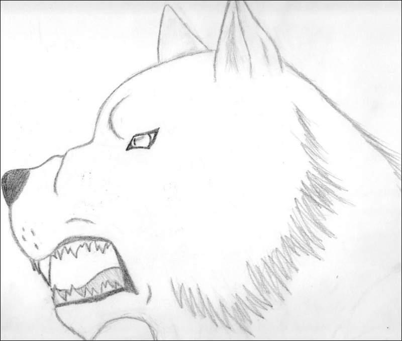 Snarling Wolf