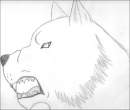 Snarling Wolf