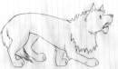 Wolf/Lion