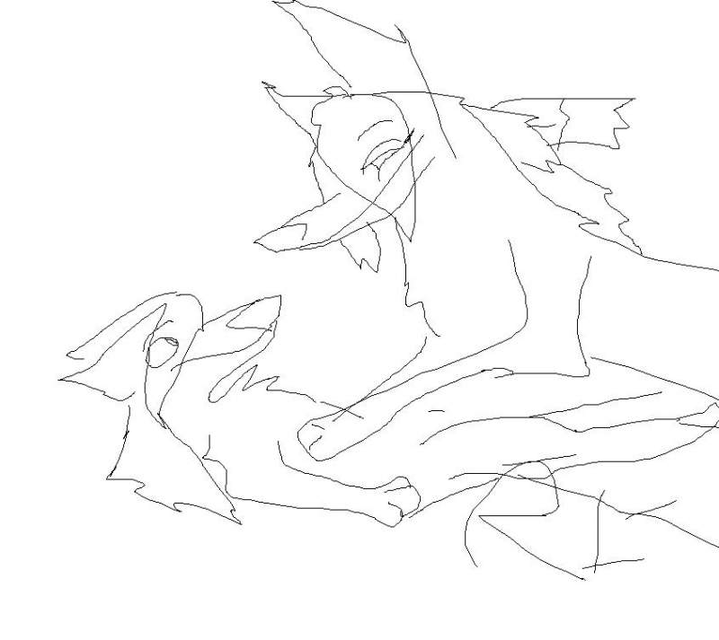 rain feather and spirit wilder