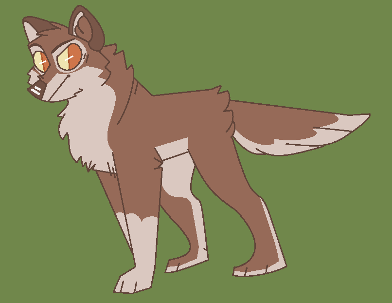 a fluffy pup