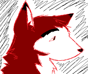 Kodi Sketch
