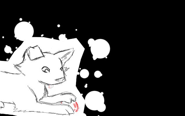 Random puppy?