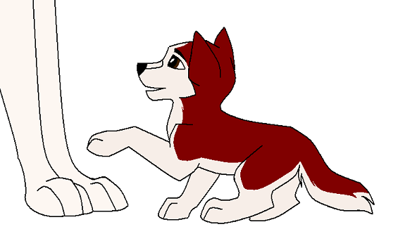 Puppy Kodi