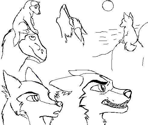 Doodles