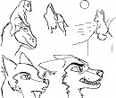 Doodles