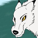 The white wolf