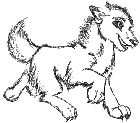 The white puppy