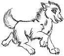 The white puppy