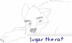 Sugar the rat