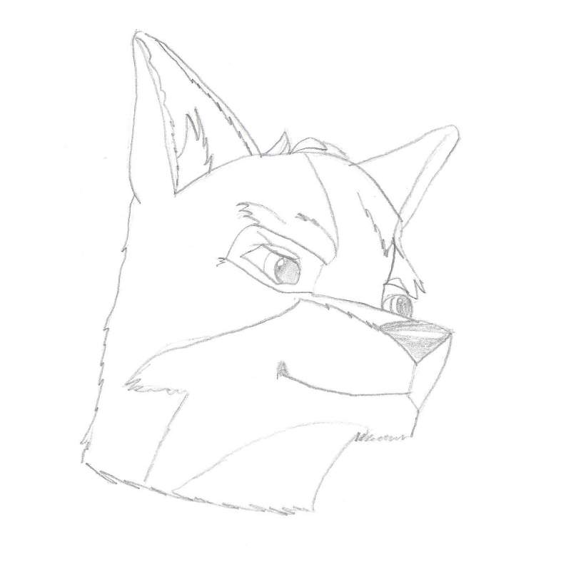 Balto agian