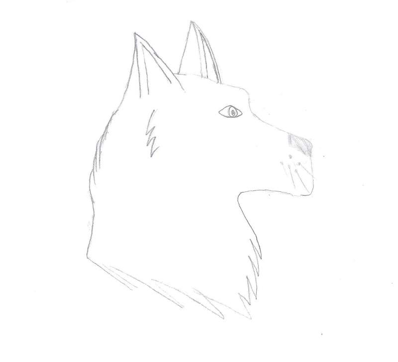 Wolfy