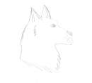 Wolfy