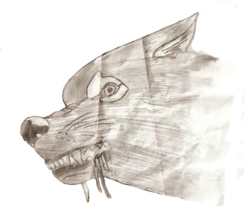 Real balto