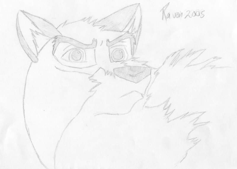 Balto et le 