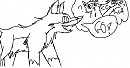 Balto et le  GO 