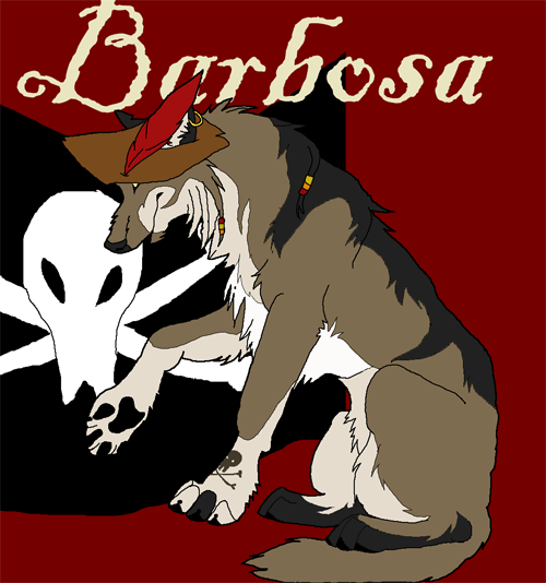 Captain Barbosa