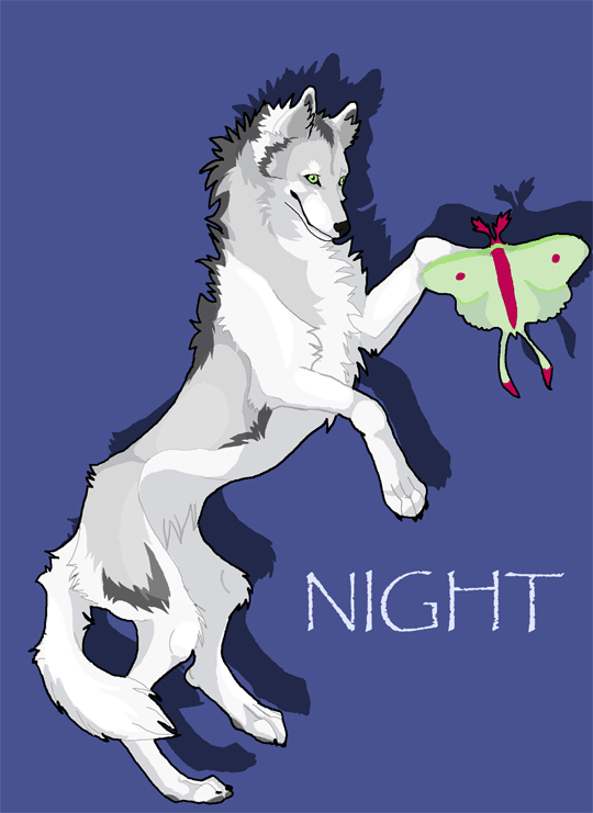 Night for Night