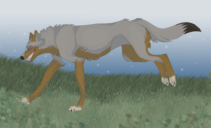 Shian for Xwolf