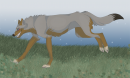 Shian for Xwolf